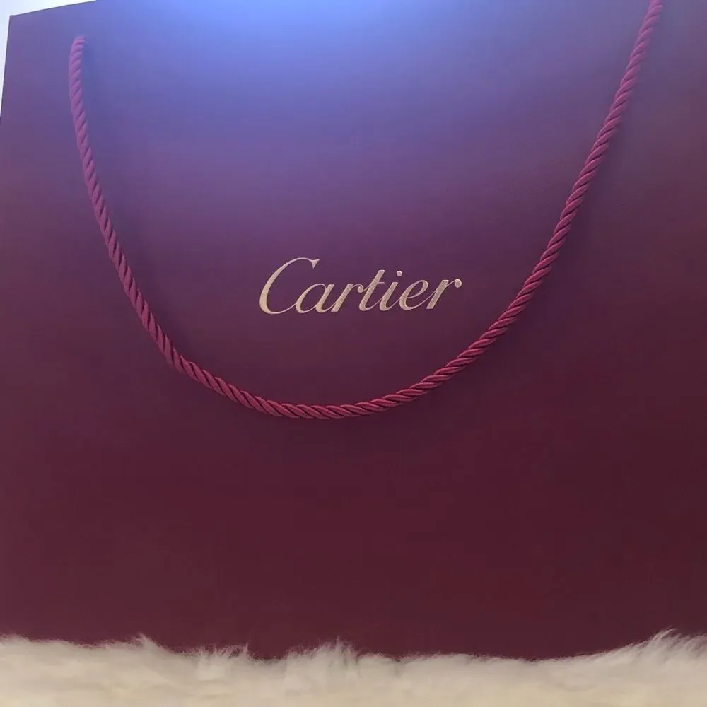 Cartier Gift Bag 11x13